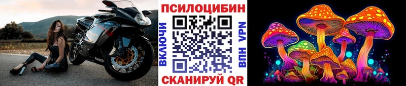 Псилоцибиновые грибы MAGIC MUSHROOMS  где можно купить наркотик  Галич 